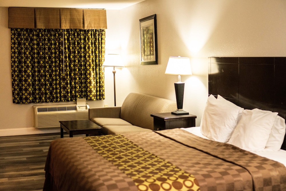 Basic Suite, Non Smoking (1 King Bed with 2 Person Sofa bed) - Photo 2