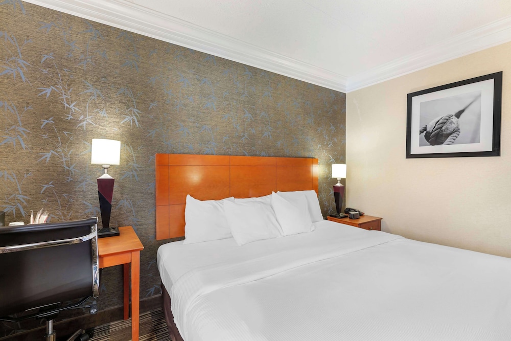 Best Western Inn at the Rochester Airport, Photo 3