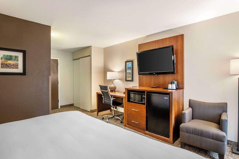 Room, 1 King Bed, Non Smoking (Pet Friendly) - Photo 4