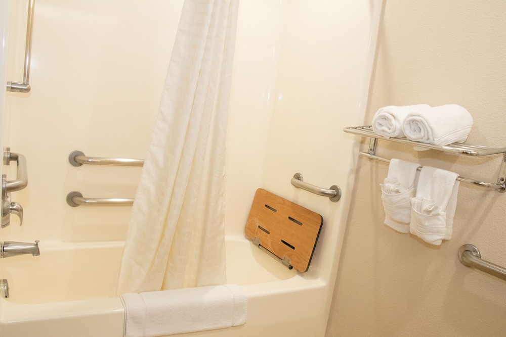 Studio Suite, 1 Queen Bed, Accessible, Non Smoking - Photo 8