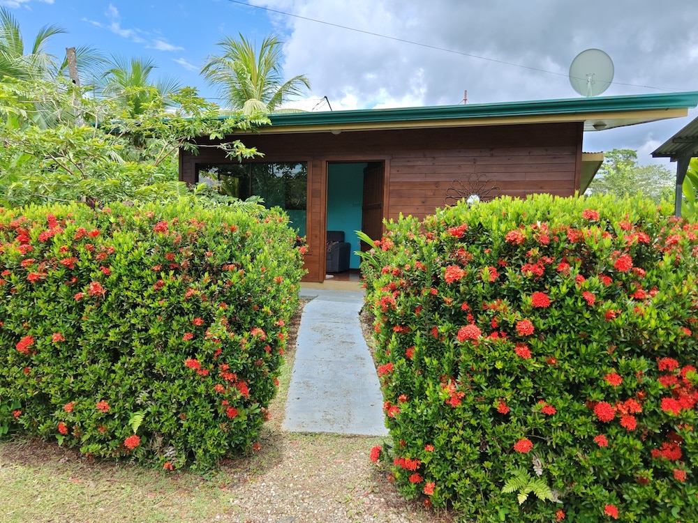 Family House, Garden View