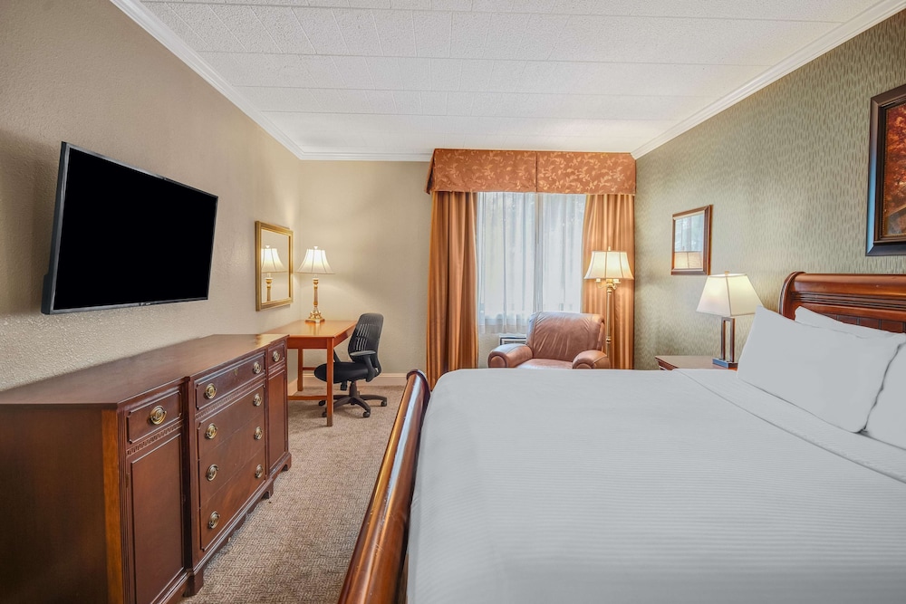 Suite, 1 King Bed with Sofa bed photo 3