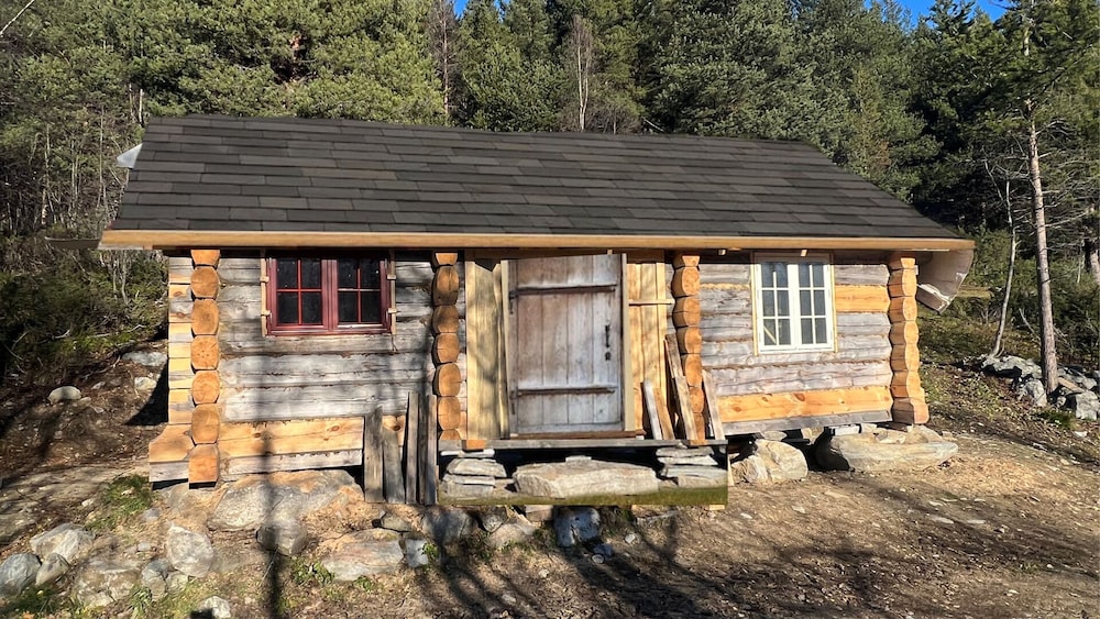 Family Cabin photo 3
