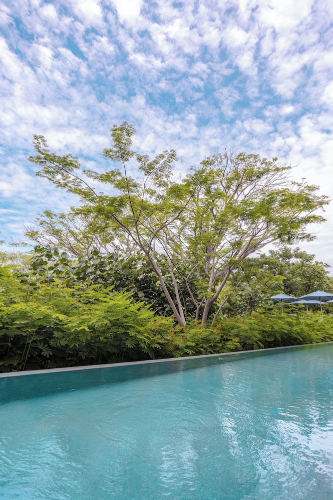 Allure Junior Suite, 1 King Bed, Adults Only (Swim Out) - Photo 6