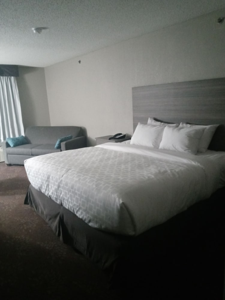 Suite, 1 King Bed, Non Smoking - Photo 3