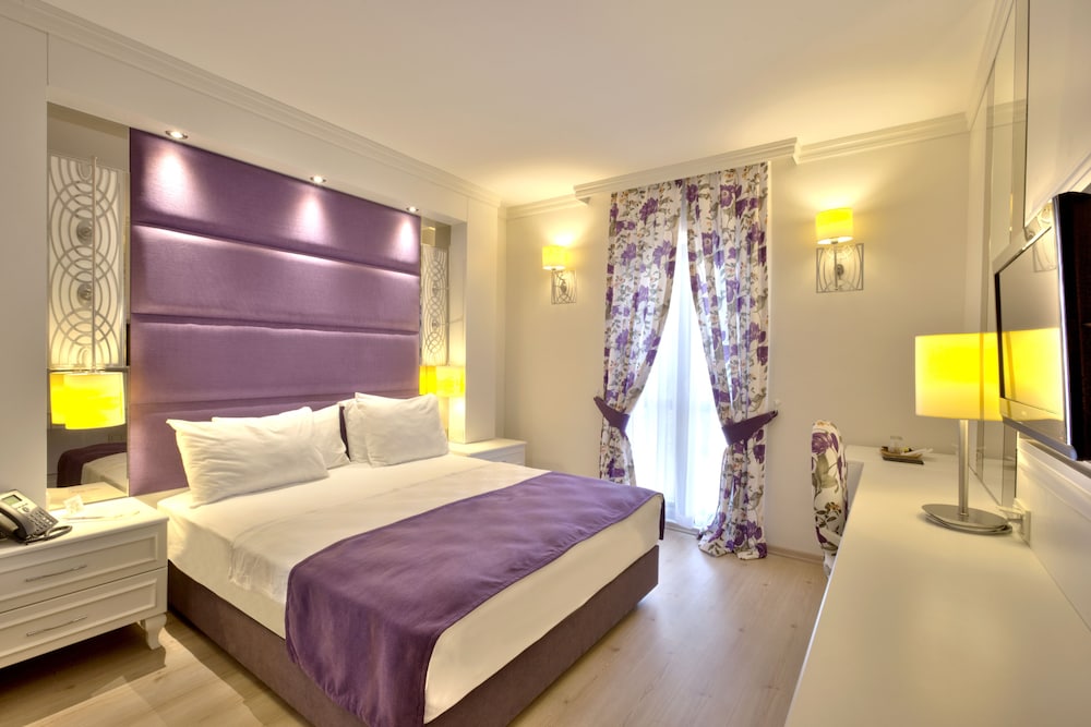 Standard Mountain View Room photo 2