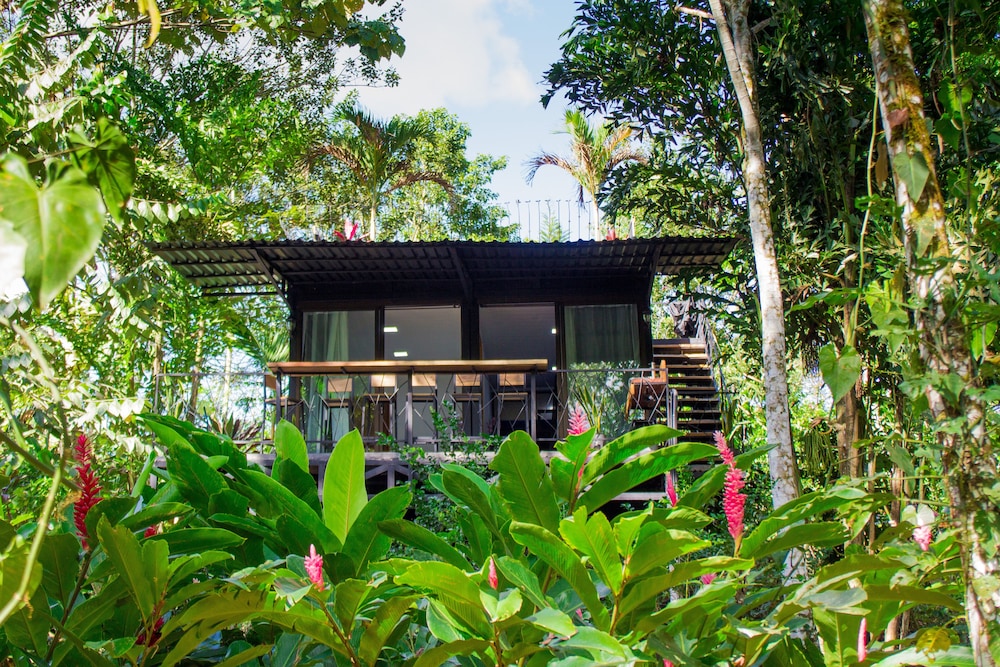 Villa Cacao photo 3