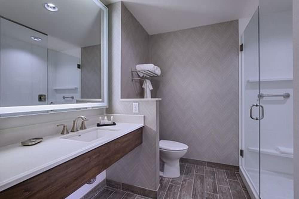 Room, 1 King Bed (Mobility Accessible, Roll-in Shower) photo 3