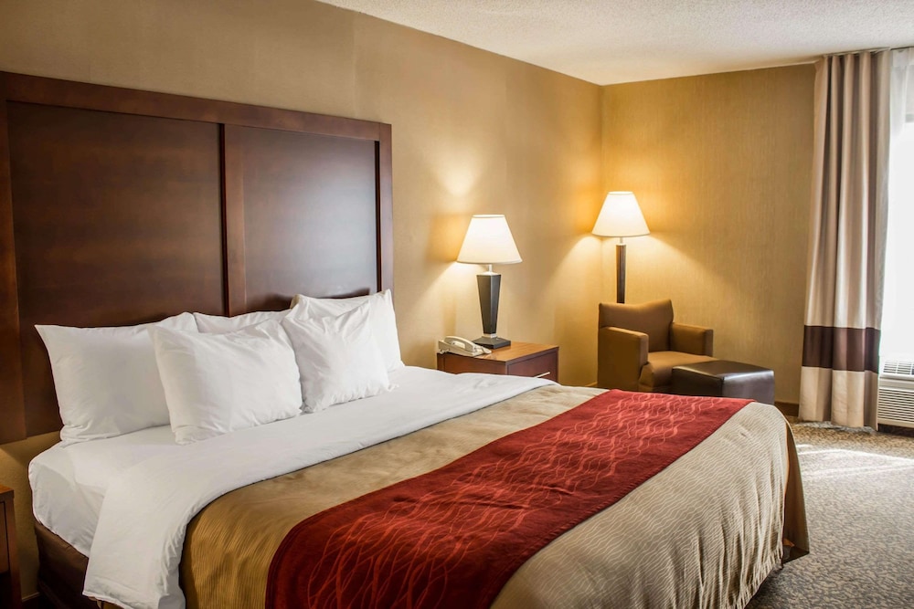 Standard Room, 1 King Bed, Non Smoking (No Pets) - Photo 3
