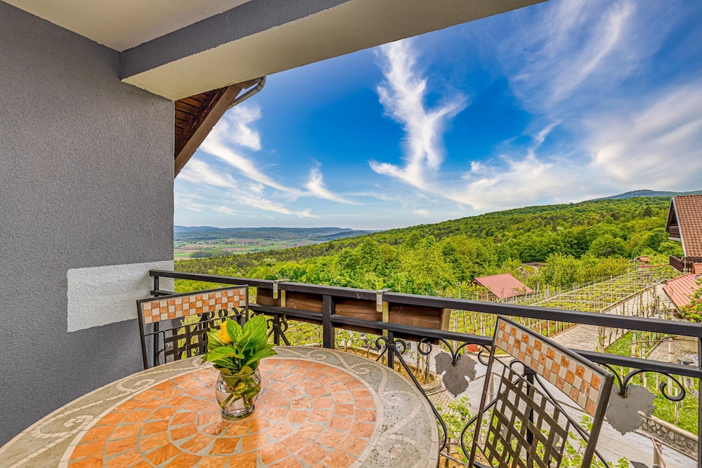 Standard House, Multiple Bedrooms, 2 Bathrooms, Mountainside (Vineyard Homestead Vrtin) photo 3