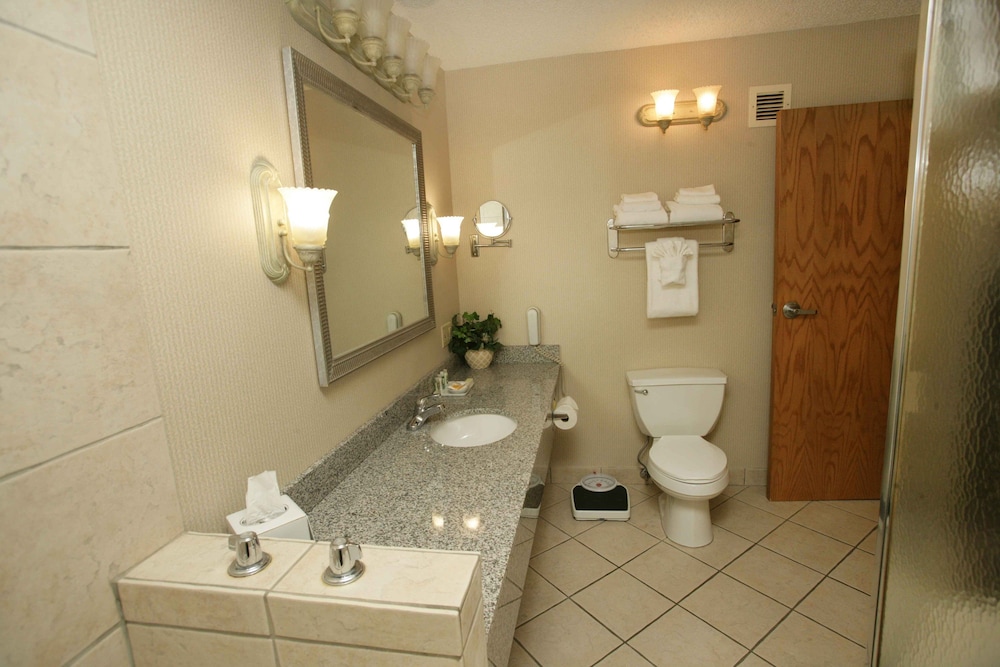 Suite, 1 King Bed photo 2
