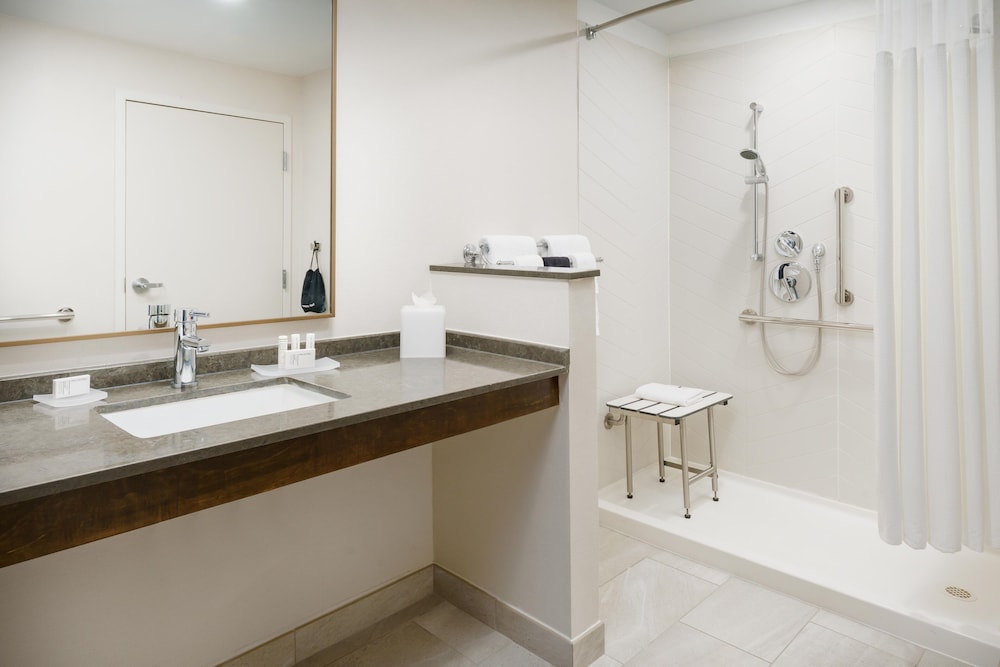Suite, 1 King Bed With Sofa Bed (Mobility Accessible, Roll-In Shower) - Photo 6