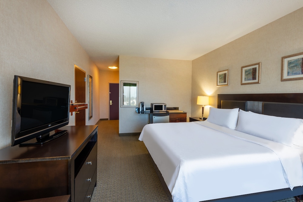 Standard Room, 1 King Bed, Accessible (Comm, Accessible Tub) - Photo 4