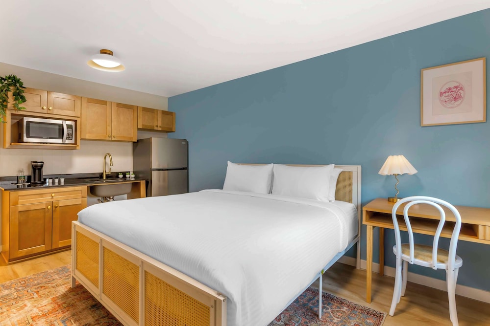 Standard Room, 1 King Bed, Accessible, Refrigerator & Microwave (Pet Friendly) - Photo 2