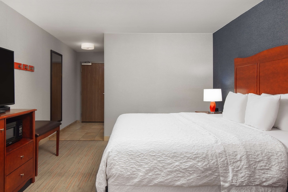 Room, 1 King Bed, Accessible, Non Smoking (Shower only) - Photo 1