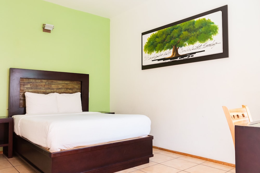 Single Room photo 1