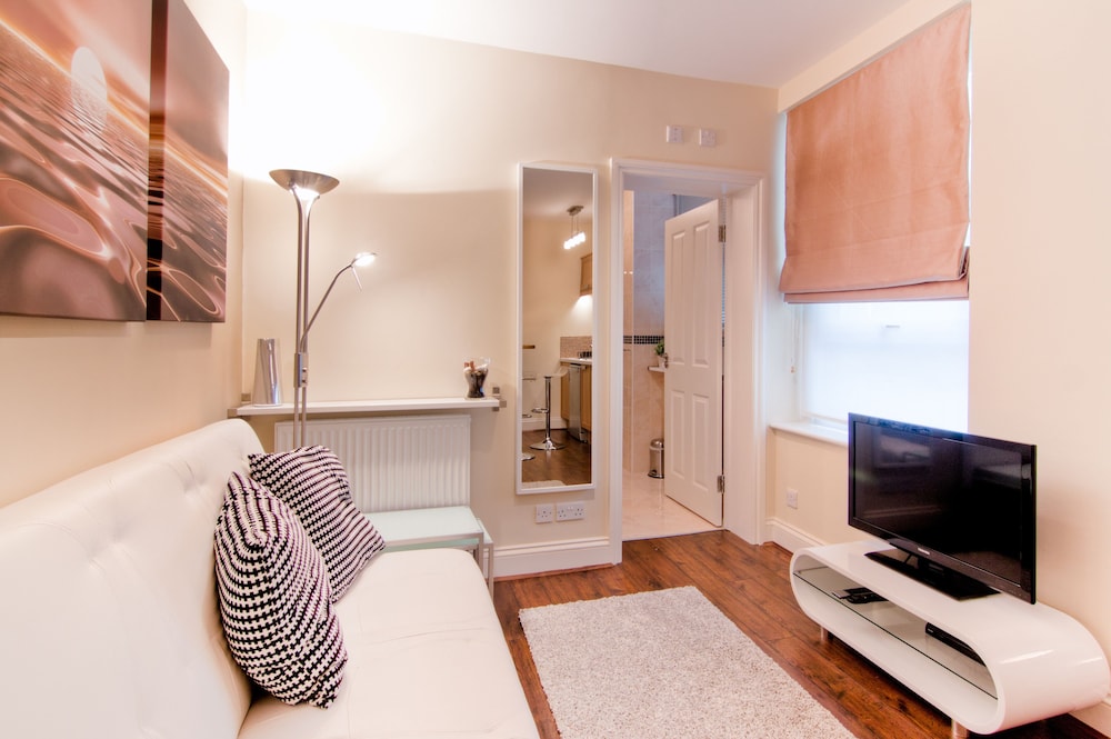 Deluxe Large One Bedroom Apartment photo 3