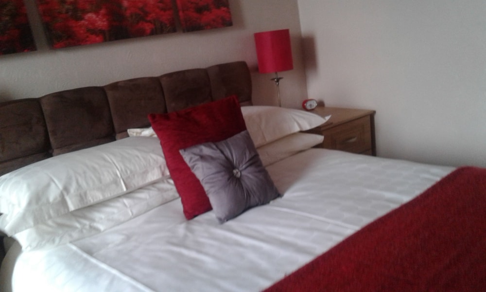 Double Room, 1 Double Bed, Non Smoking photo 2