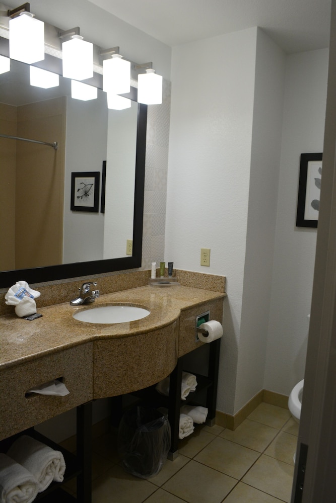 Suite, 1 Bedroom, Non Smoking - Photo 7