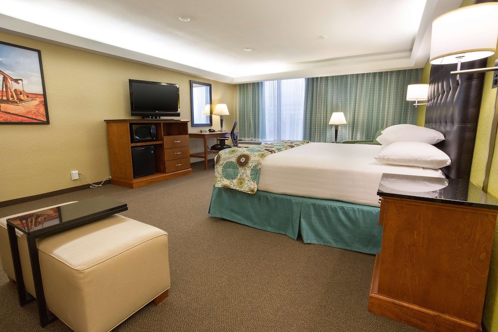 Deluxe Suite, 1 King Bed, Non Smoking - Photo 10