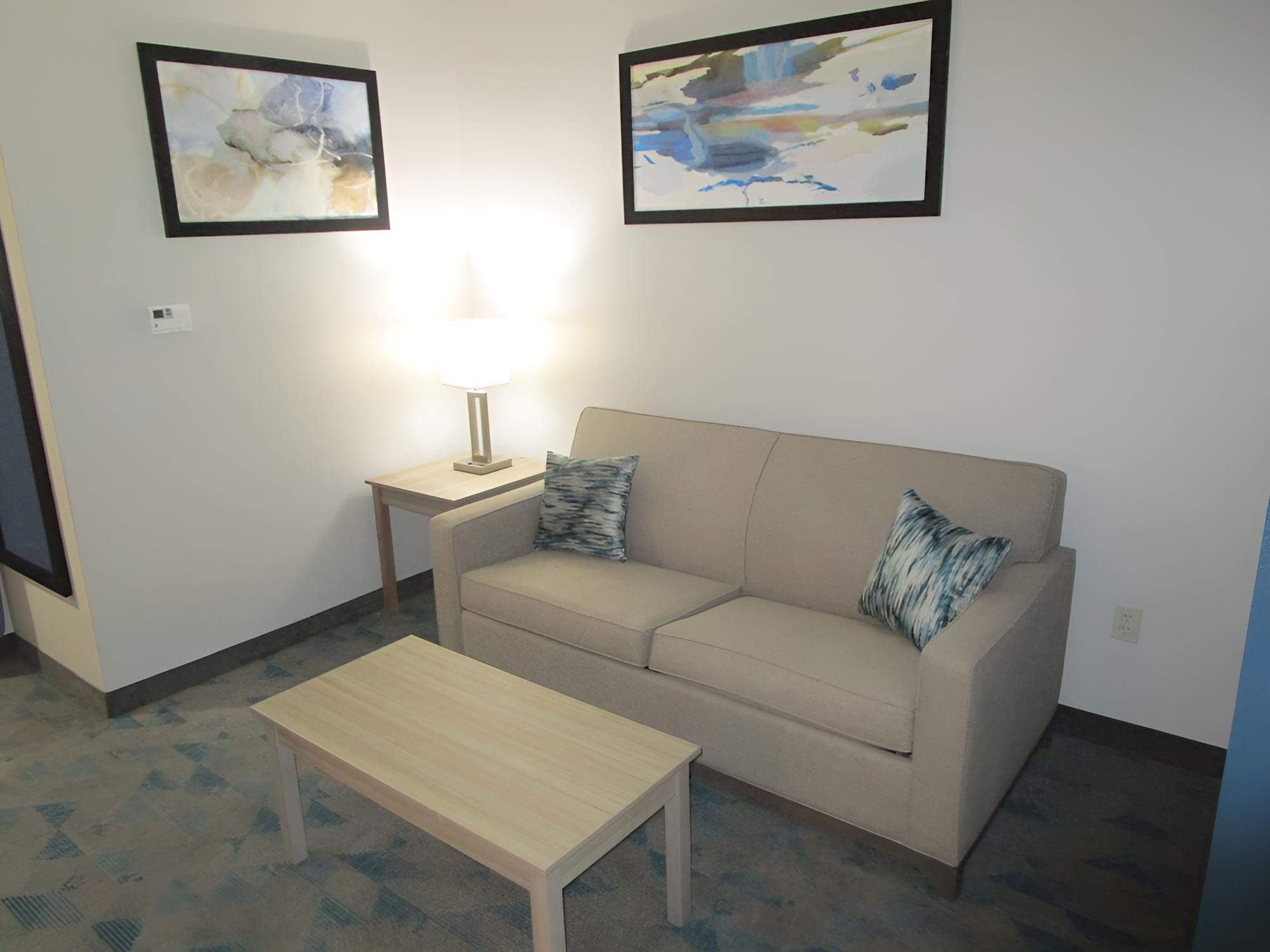 Suite, 1 King Bed, Non Smoking, Refrigerator & Microwave (Walk-in Shower;with Sofabed) photo 1