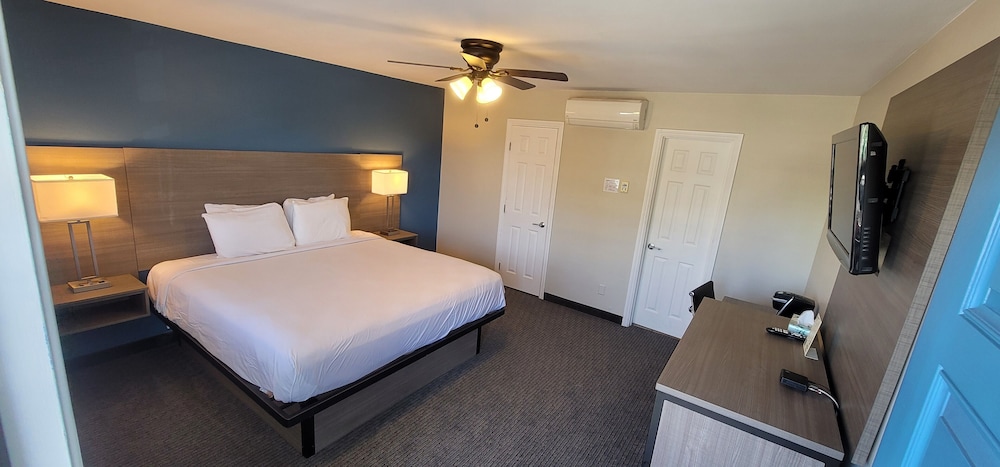 Deluxe Single Room, 1 King Bed photo 3