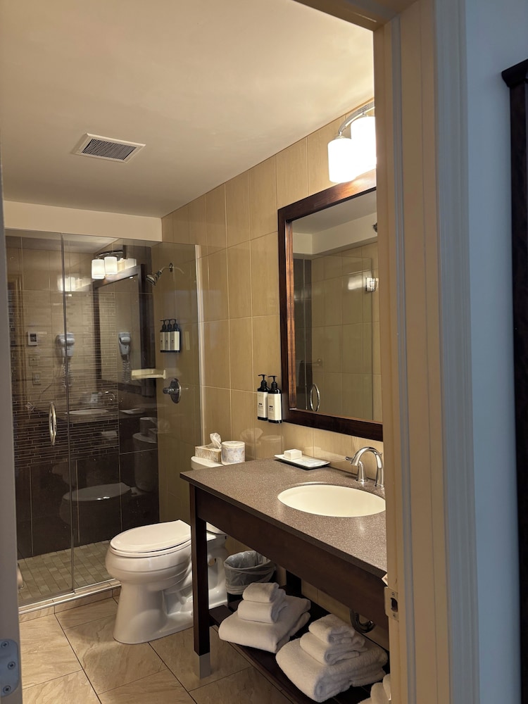 Deluxe Suite photo 2
