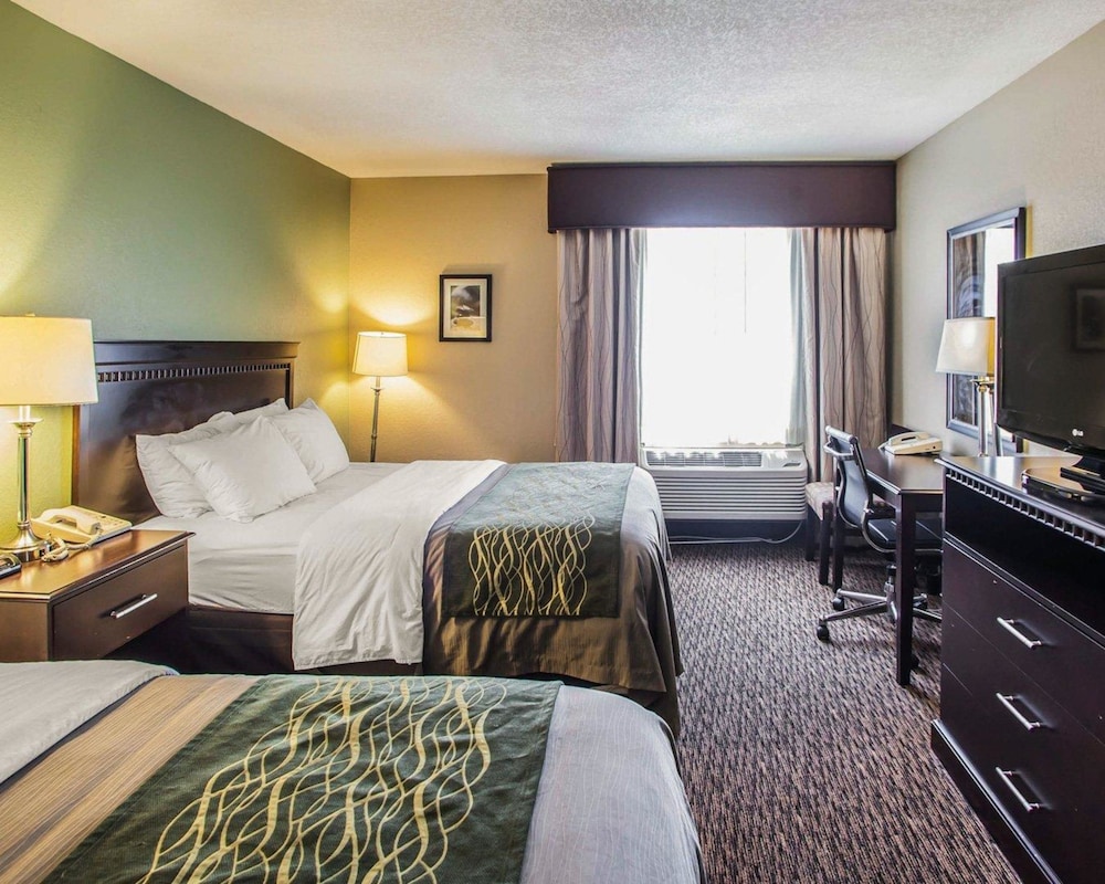 Room, 1 Queen Bed photo 3