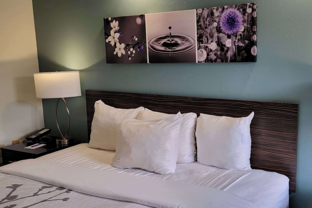 Standard Room, 1 King Bed, Non Smoking - Photo 5
