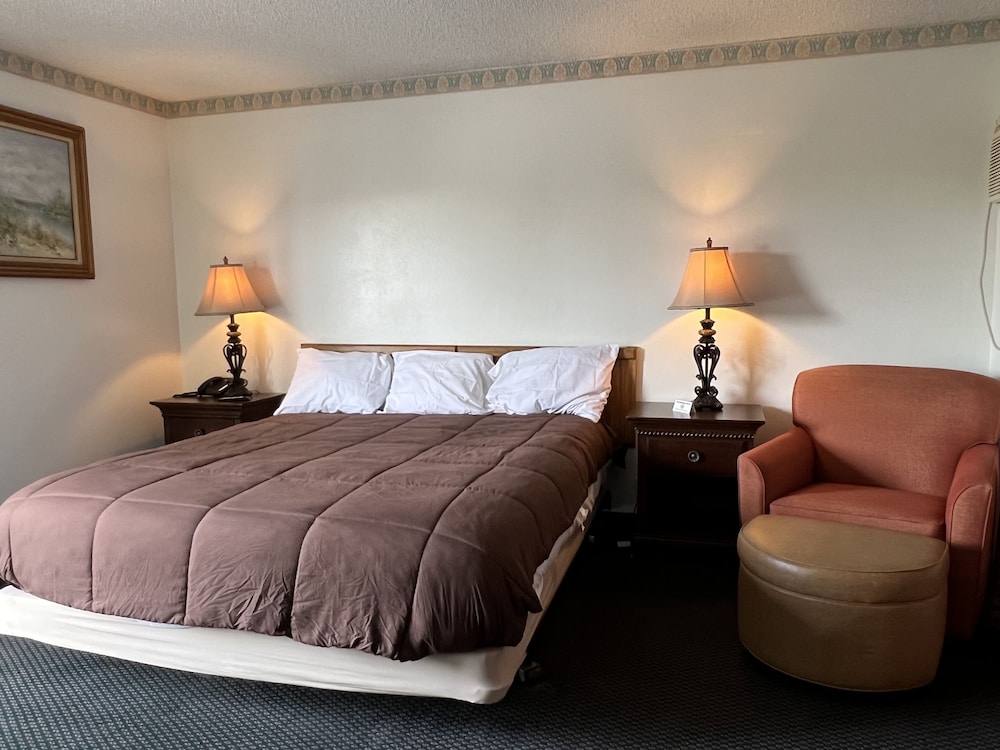 Basic Single Room photo 1