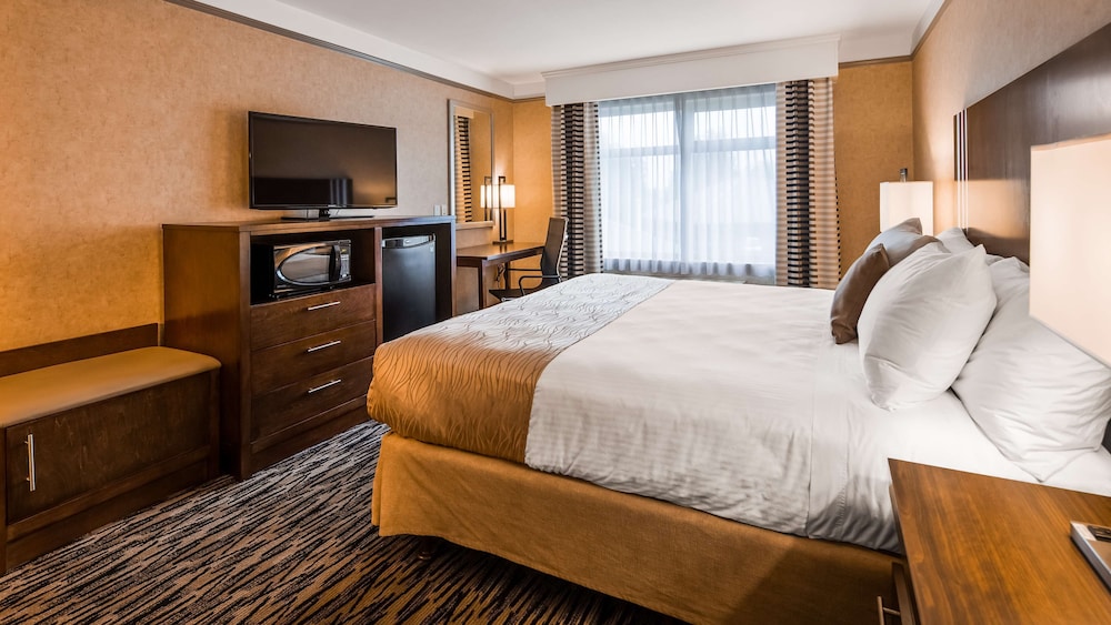 Standard Room, 1 King Bed, Non Smoking, Refrigerator & Microwave (with Sofabed) - Photo 6