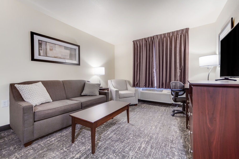 Suite, 1 King Bed with Sofa bed, Accessible, Non Smoking (Audible/Visual Alert) - Photo 6