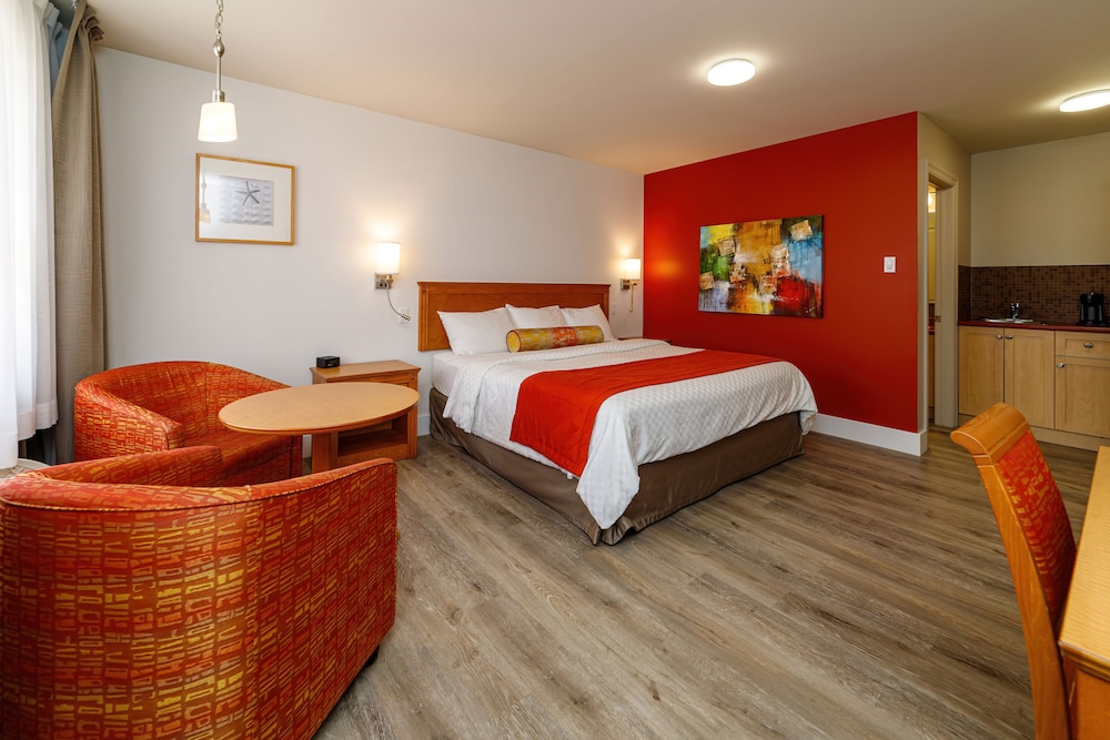 Studio, 1 King Bed, Mobility Accessible, Ground Floor