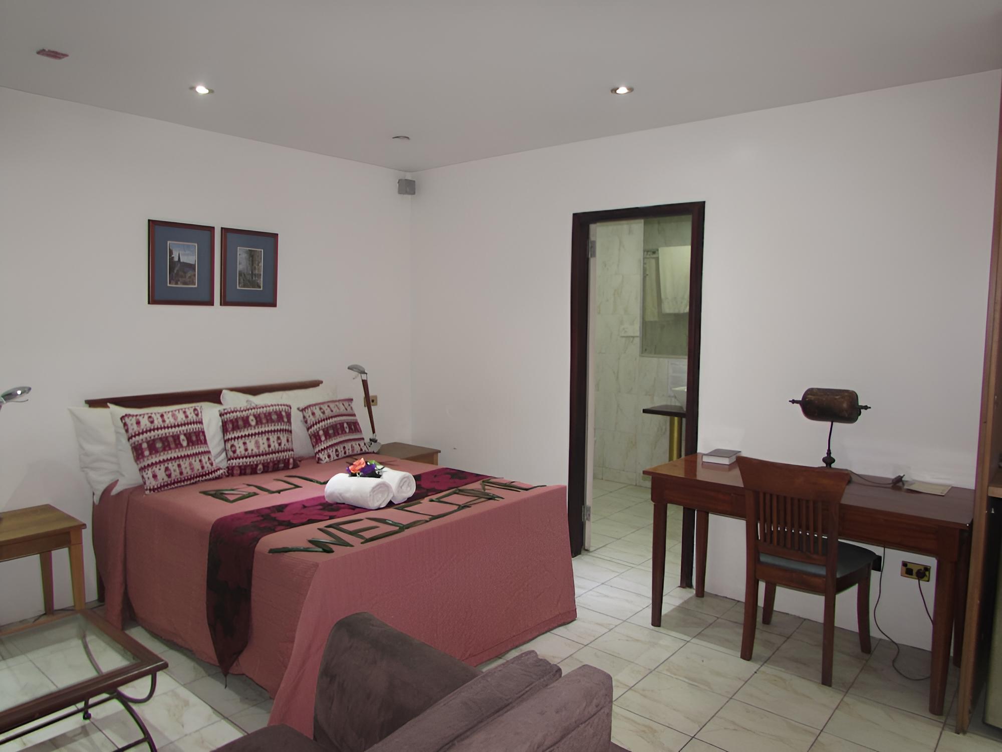 Classic Studio, 1 Double Bed, City View photo 7