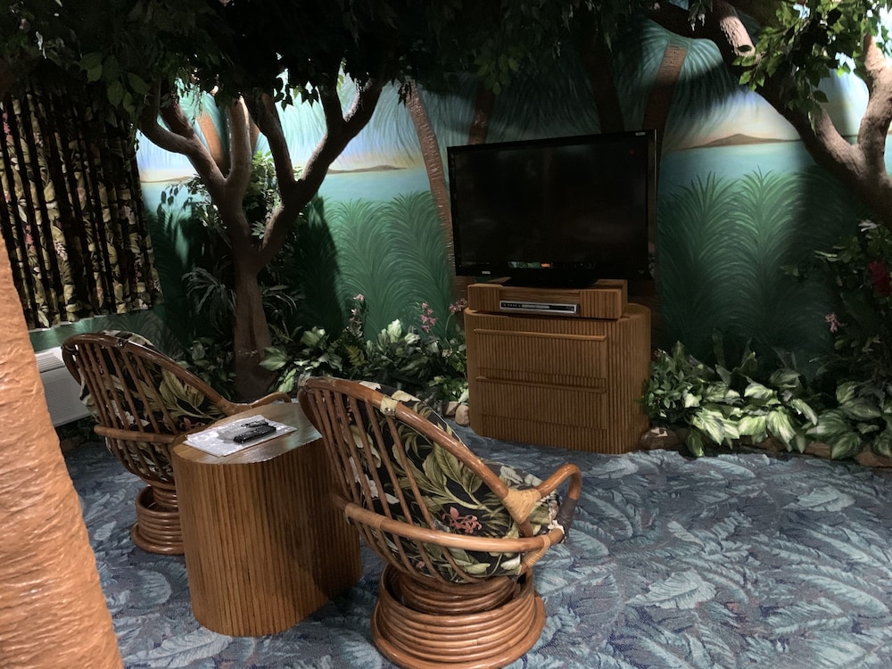 Rain Forest photo 3