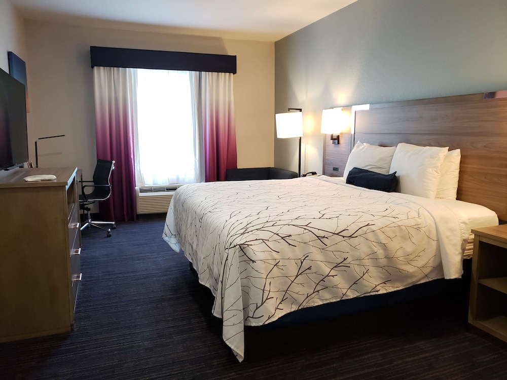 Suite, 1 King Bed, Non Smoking, Refrigerator & Microwave