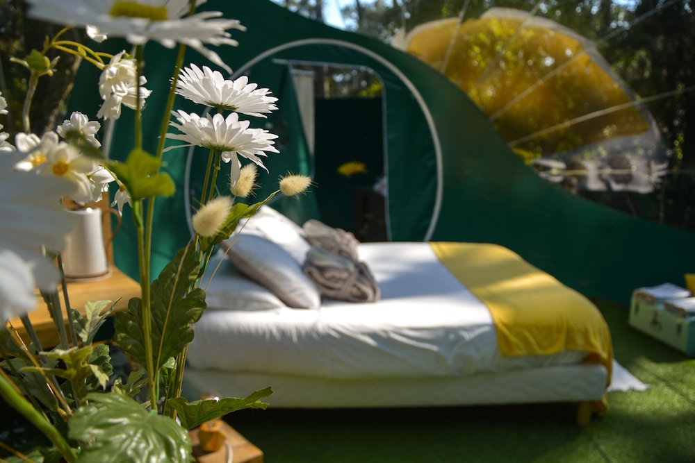 Tent, Ensuite (Bulles) - Photo 22