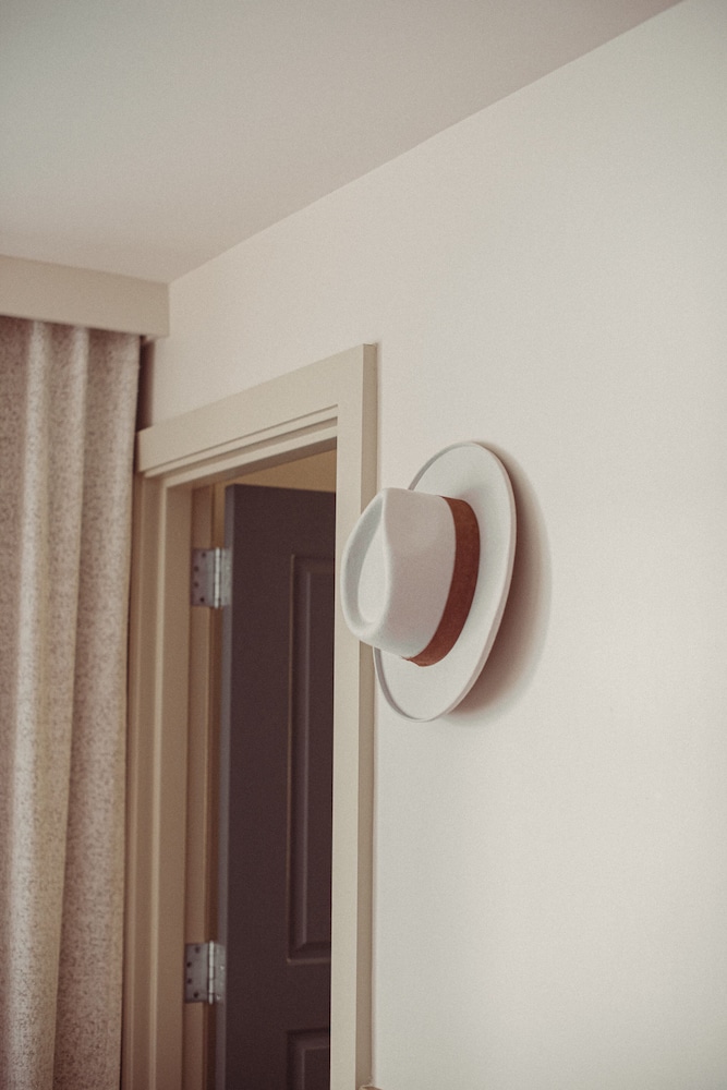 Studio Suite - Photo 2