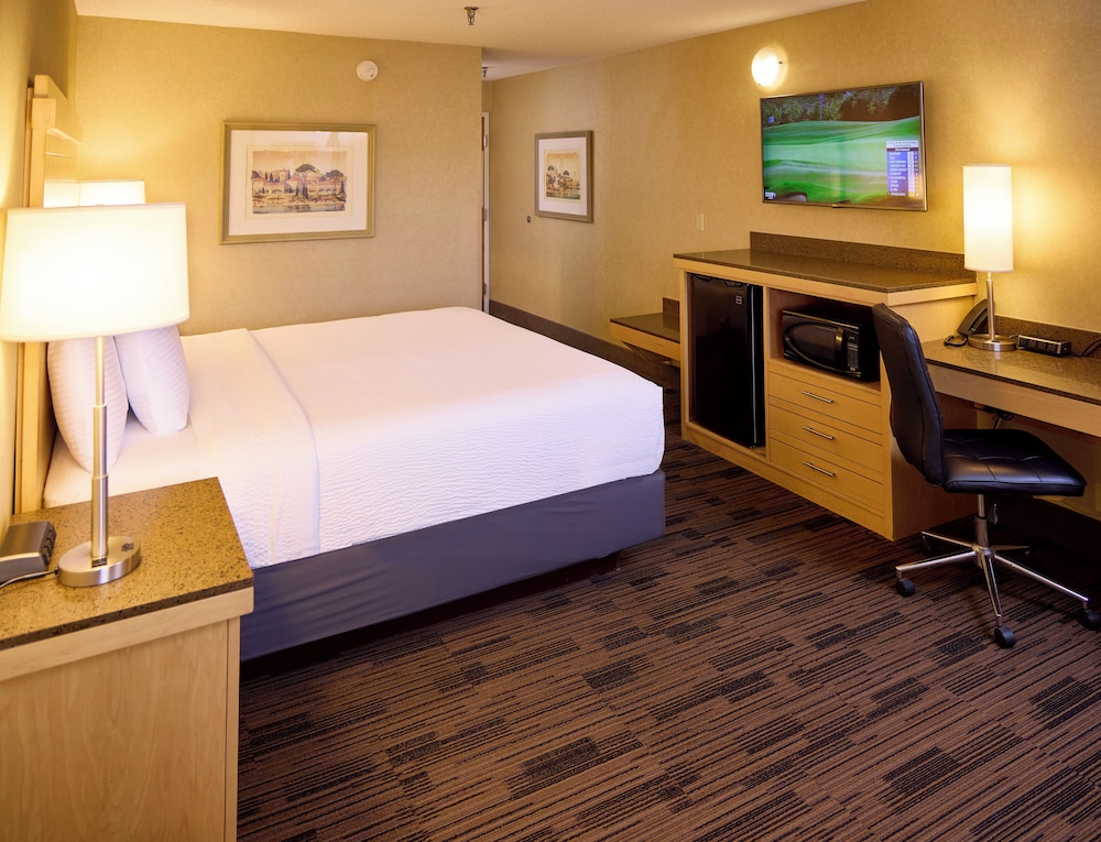 Premium Room, 1 King Bed, Non Smoking - Photo 3