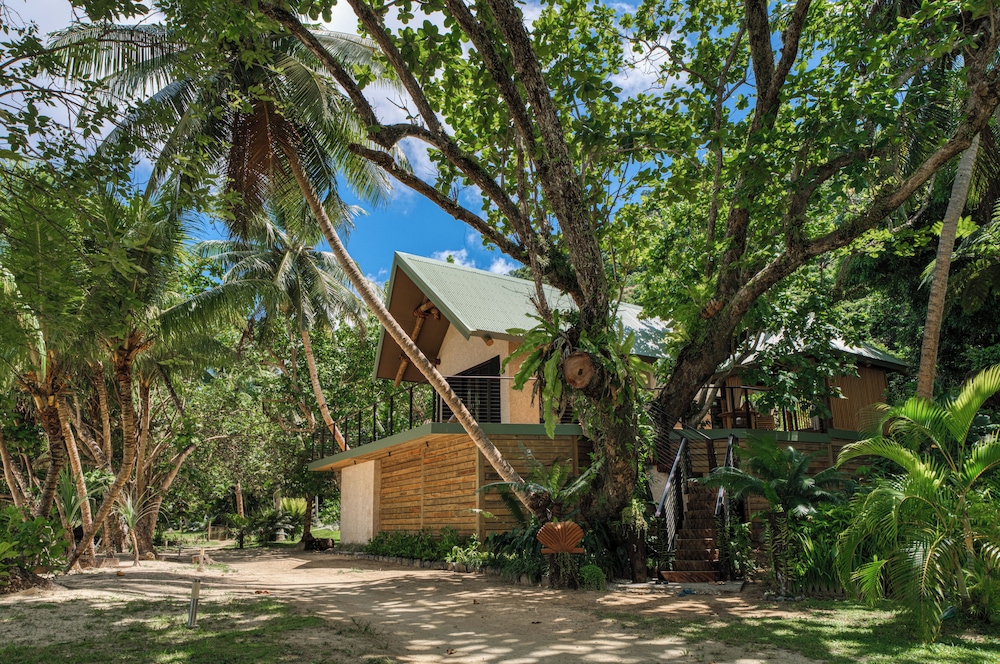 Beach Front Tree House With Plunge Pool