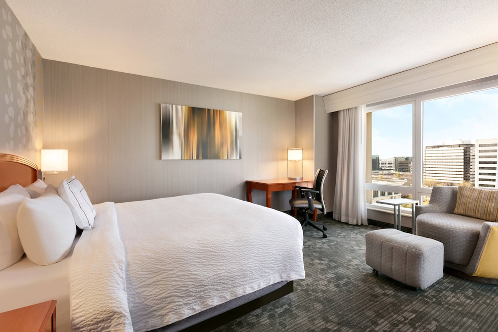 Room, 1 King Bed (Mobility/Hearing Access, Roll-In Shwr) - Photo 3
