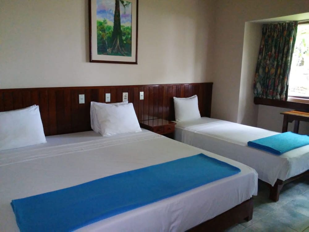 Triple Room photo 2
