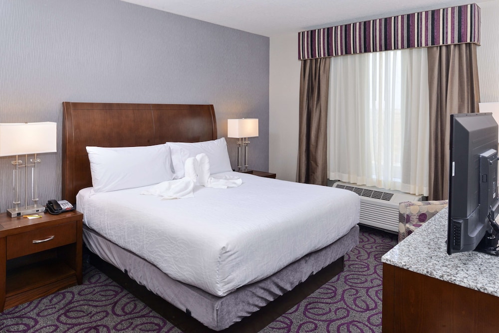 King, Suite photo 3