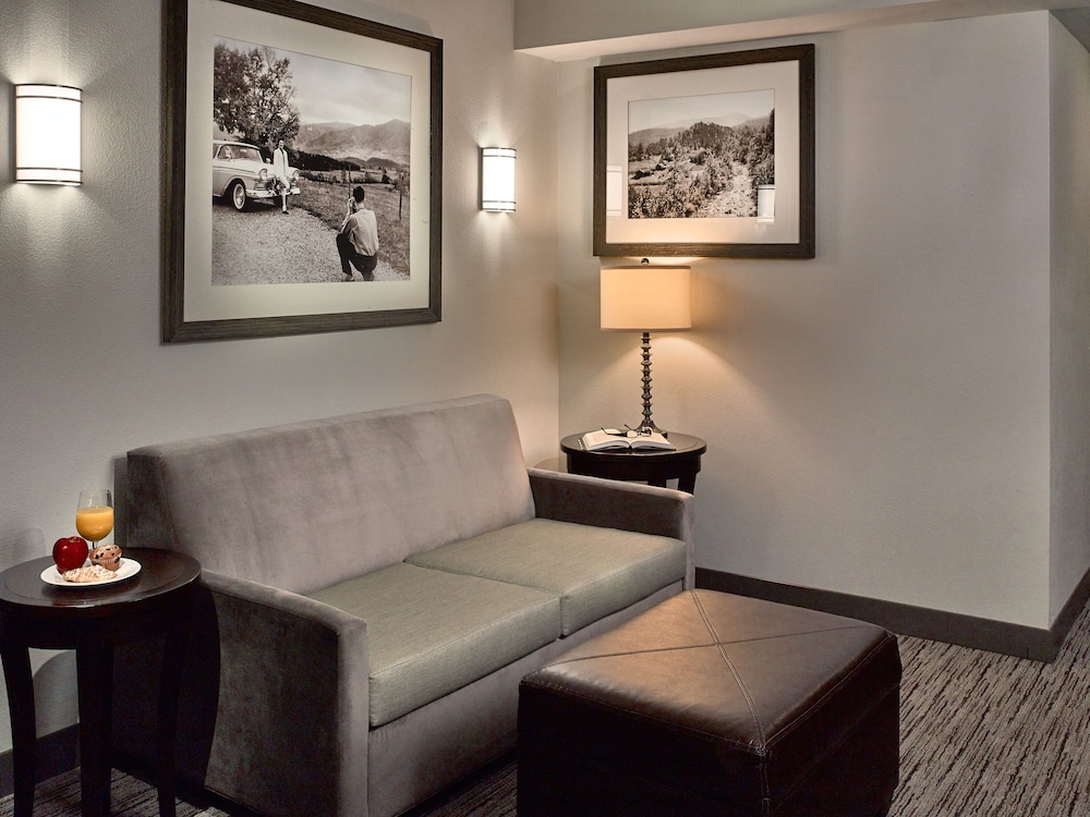 Single Queen, Junior Suite, Pullout, Roll-In Shower - Photo 3