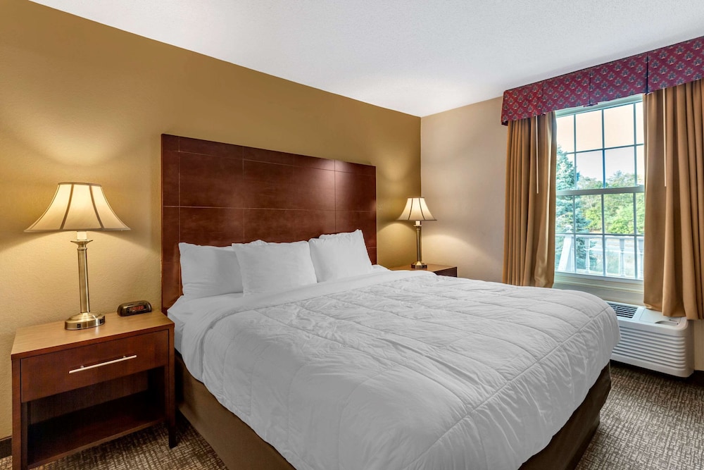 Suite, 1 King Bed, Non Smoking photo 2