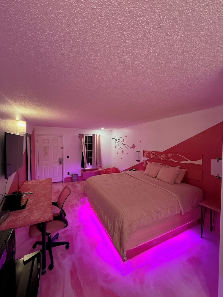 Superior Single Room photo 1