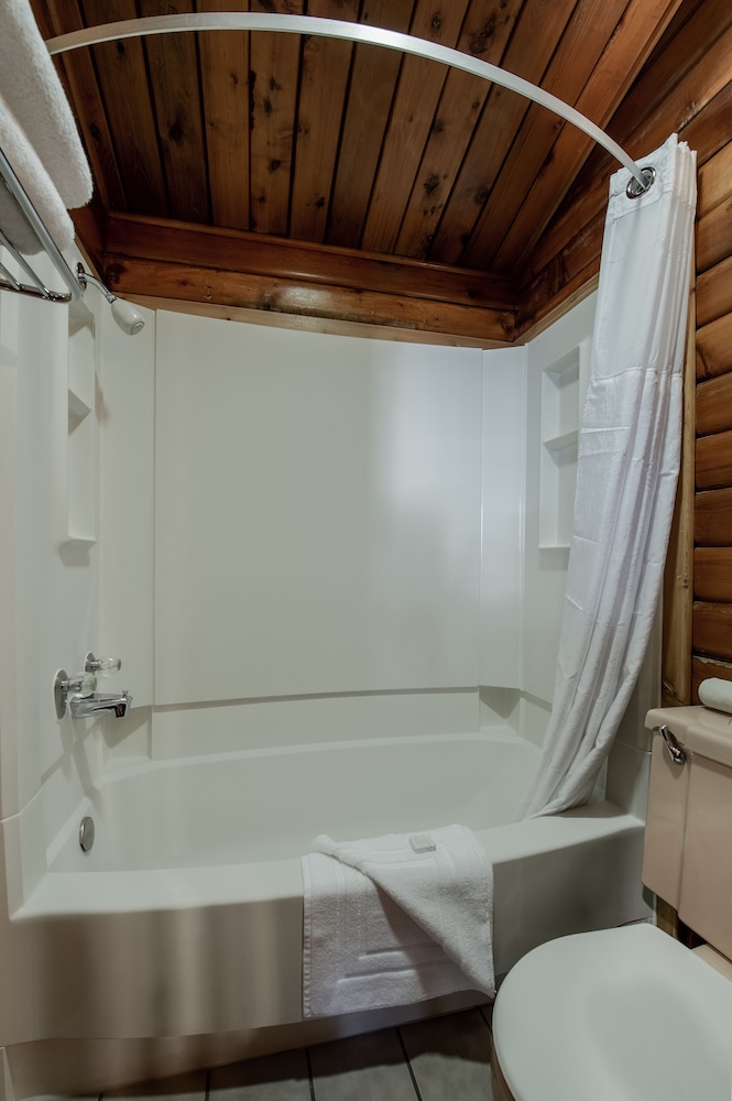 Traditional Single Room, 1 King Bed photo 3