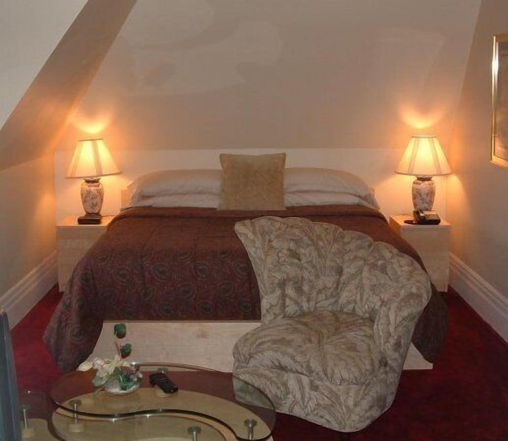 Basic Room, 1 King Bed (Executive Suite)