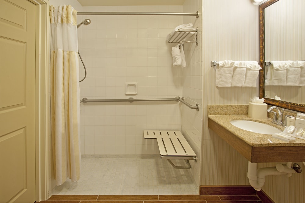 Room, 1 King Bed, Accessible (Mobility & Hearing, Roll-In Shower)