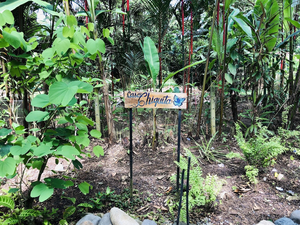 Casa Chiquita photo 3